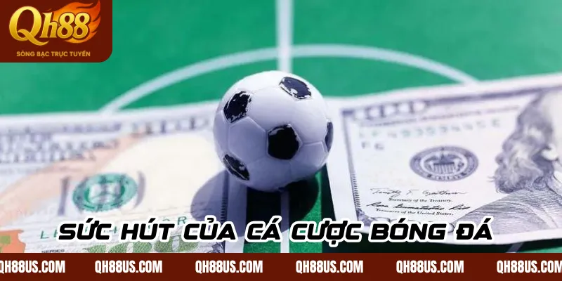 Sức hút của cá cược bóng đá